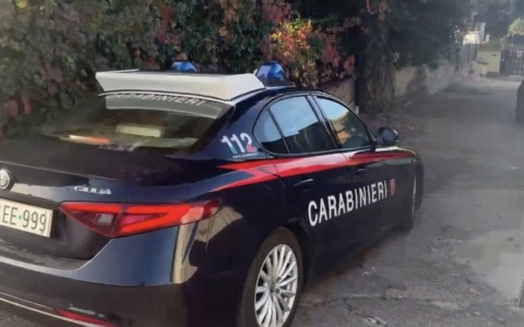 Castelnovo di Sotto, sequestrato il cane Titano maltrattato