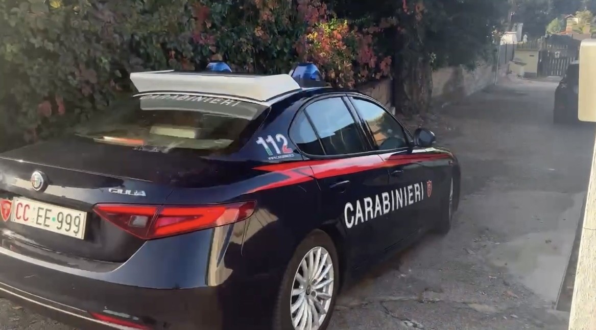 Castelnovo di Sotto, sequestrato il cane Titano maltrattato