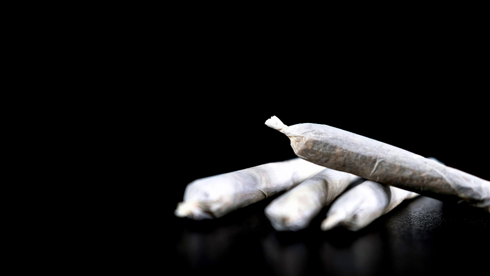 Cocaina nell’armadio, arresto della polizia a Pieve Modolena