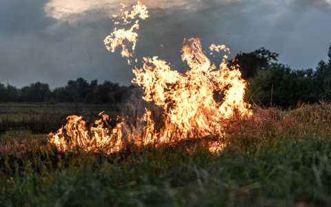 Incendio in un’auto a Casalgrande, indagano i carabinieri