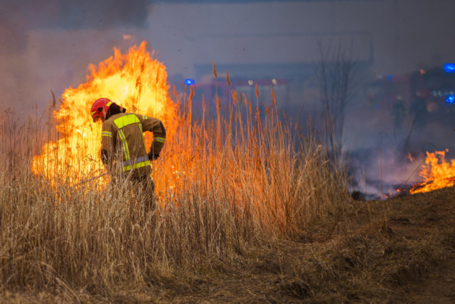 Incendio al Parco Torelli, indagini sui responsabili