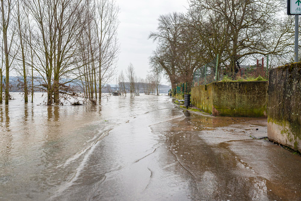 Le previsioni per sabato 12 settembre 2026 a Reggio Emilia