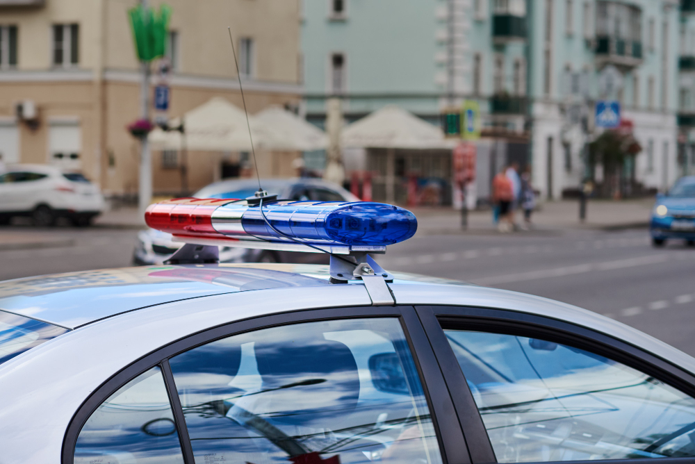 Corteo studentesco pacifico a Reggio, verifiche su due episodi